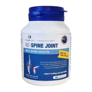 NZ SPINE JOINT